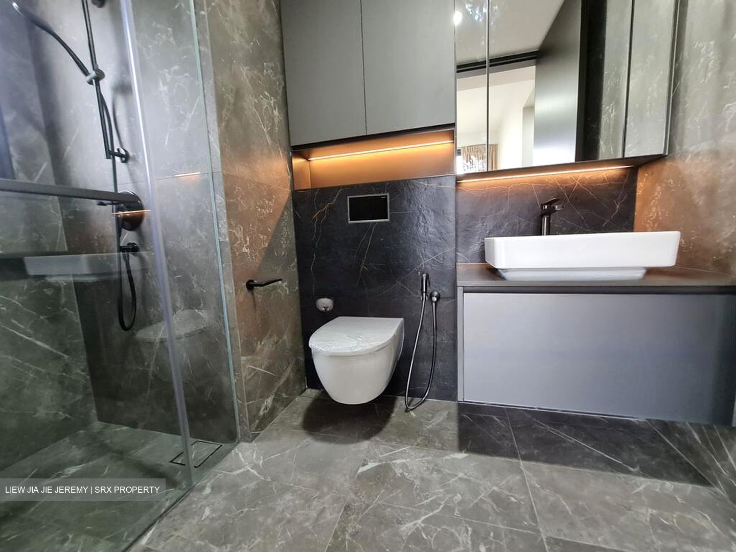 Irwell Hill Residences (D9), Apartment #477515861